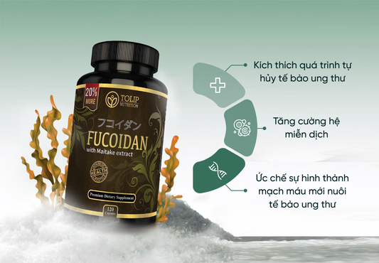 Hỗ trợ ngăn ngừa ung thư với viên uống Fucoidan